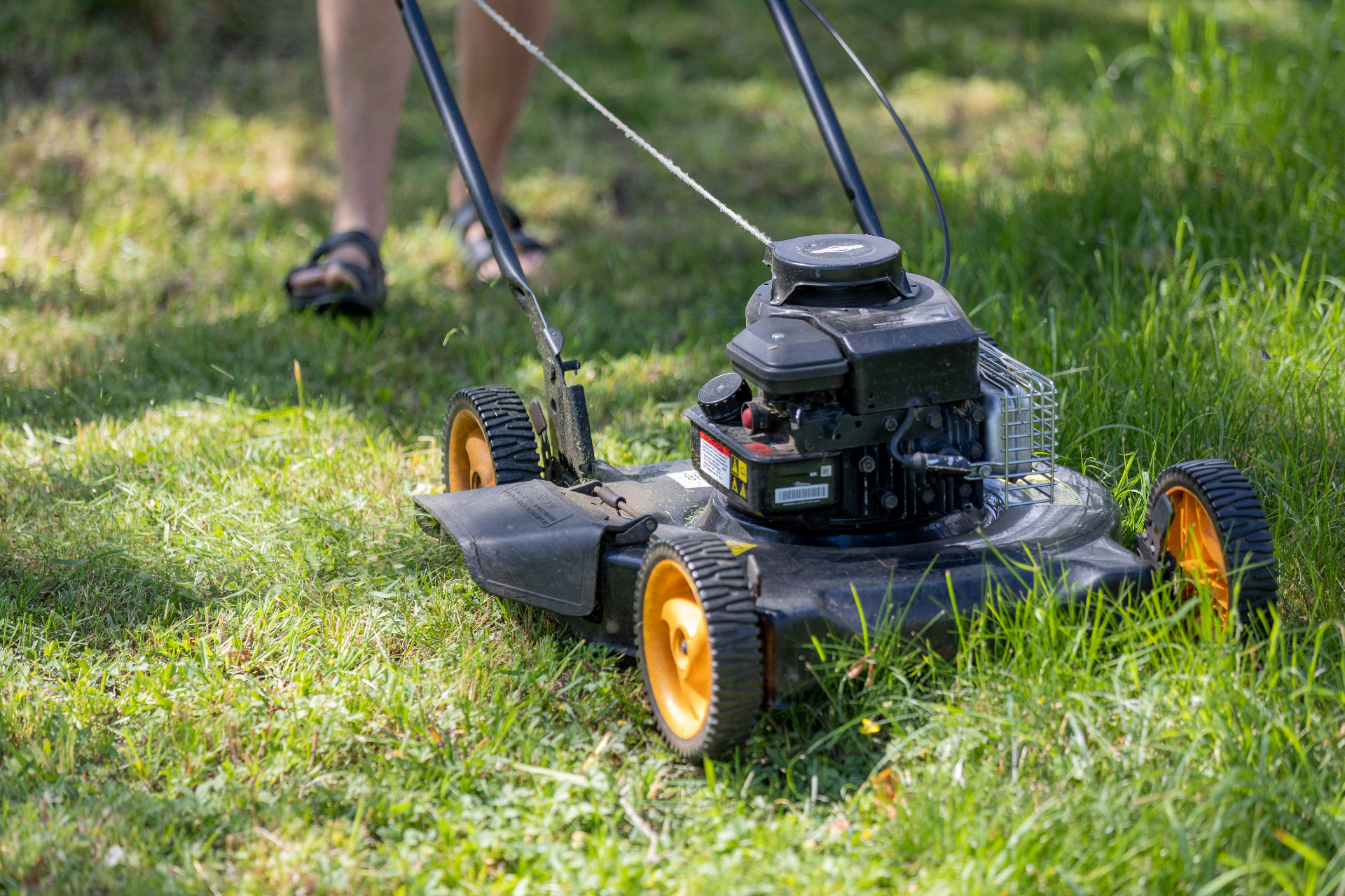 Lawn mower cutting fresh green grass on a residential property